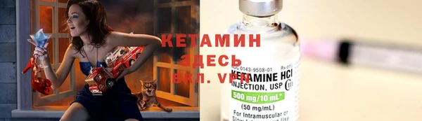 гидра Новодвинск