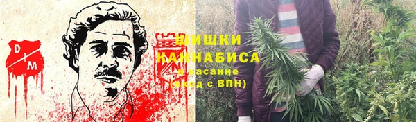гидра Новодвинск