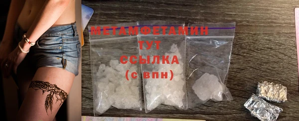 гидра Новодвинск