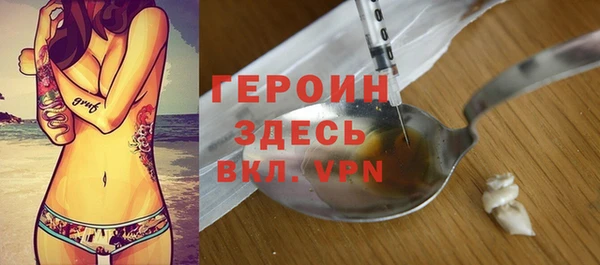гидра Новодвинск