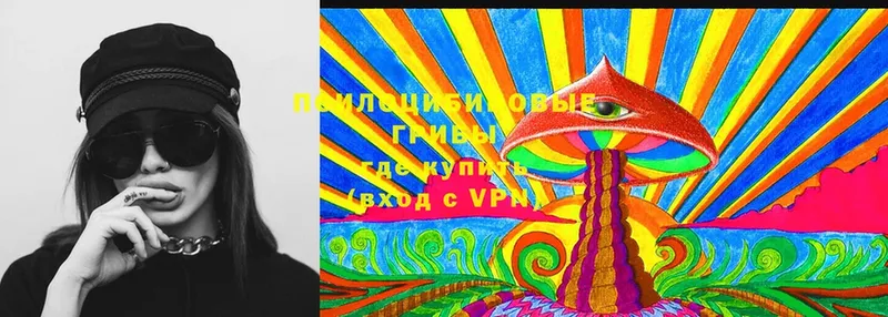 Галлюциногенные грибы Cubensis  это формула  Нефтегорск 